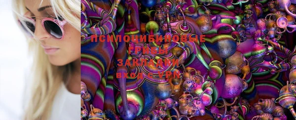 МДПВ Алексин