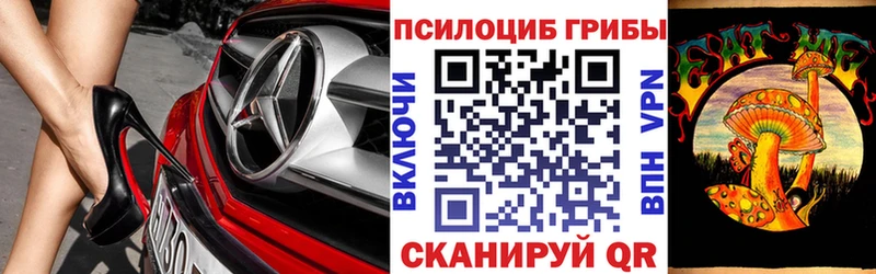 мега ссылка  Циолковский  Псилоцибиновые грибы Psilocybine cubensis 